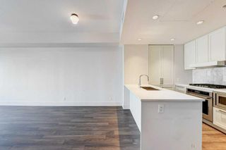 Photo 7: 303 46 9 Street NE in Calgary: Bridgeland/Riverside Apartment for sale : MLS®# A2120826