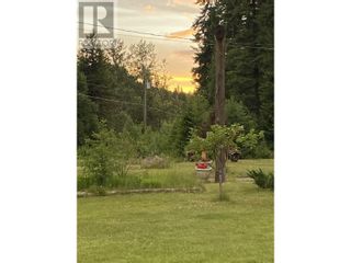 Photo 6: 4911 QUESNEL FORKS ROAD in Likely: Vacant Land for sale : MLS®# R2797704