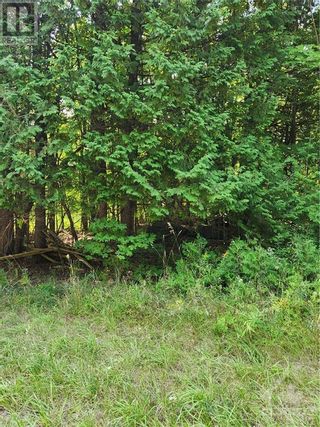 Photo 12: BRITON HOUGHTON BAY ROAD in Portland: Vacant Land for sale : MLS®# 1312442