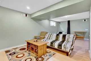 Photo 26: 29 Royal Elm Mews NW in Calgary: Royal Oak Detached for sale : MLS®# A1219128