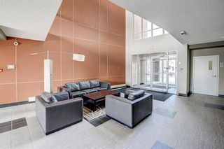 Photo 43: 109 2727 28 Avenue SE in Calgary: Dover Apartment for sale : MLS®# A1195179