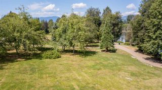 Photo 5: 1213 COTTONWOOD Avenue in Coquitlam: Central Coquitlam House for sale : MLS®# R2292834