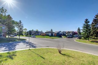 Photo 15: 174 Abalone Place NE in Calgary: Abbeydale Semi Detached for sale : MLS®# A1225319