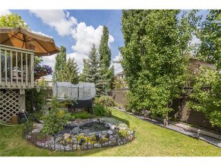 Photo 32: 402 MT DOUGLAS Green SE in Calgary: McKenzie Lake House for sale : MLS®# C4066841