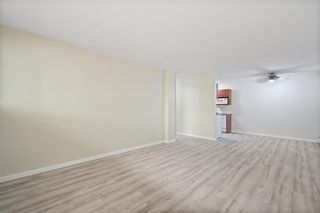 Photo 5: 115 3420 50 Street NW in Calgary: Varsity Apartment for sale : MLS®# A2052352