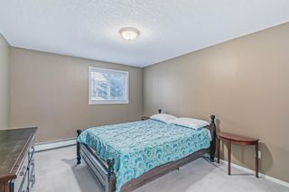 Photo 22: 246 165 Manora Place NE in Calgary: Marlborough Park Apartment for sale : MLS®# A2021263