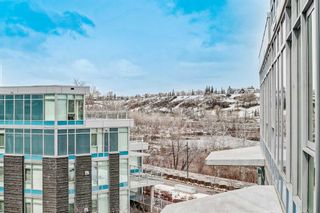 Photo 23: 403 138 Waterfront Court SW in Calgary: Chinatown Apartment for sale : MLS®# A2122105