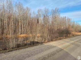 Photo 5: Twp 484 RR 60: Rural Brazeau County Vacant Lot/Land for sale : MLS®# E4323598