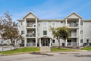 Photo 1: 5101 5101 Valleyview Park SE in Calgary: Dover Apartment for sale : MLS®# A2142544
