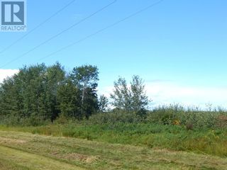 Photo 2: Portion SE 16-110-19 W5 in Rural Mackenzie County: Vacant Land for sale : MLS®# A1190914