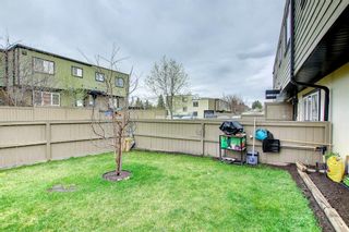 Photo 33: 137 3809 45 Street SW in Calgary: Glenbrook Row/Townhouse for sale : MLS®# A1215206