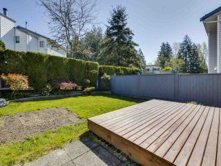 Photo 20: 120 11255 HARRISON Street in Maple Ridge: Albion Townhouse for sale in "RIVER HEIGHTS" : MLS®# R2570544