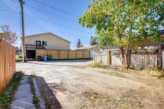 Photo 35: 107 Castlebrook Drive NE in Calgary: Castleridge Detached for sale : MLS®# A2003208