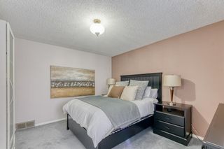 Photo 27: 319 Berkshire Place NW in Calgary: Beddington Heights Detached for sale : MLS®# A2006285