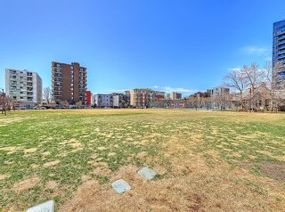Photo 35: 502 215 13 Avenue SW in Calgary: Beltline Apartment for sale : MLS®# A2046065