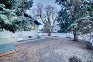 Photo 44: 3916 32 Avenue SW in Calgary: Glenbrook Semi Detached for sale : MLS®# A1179467