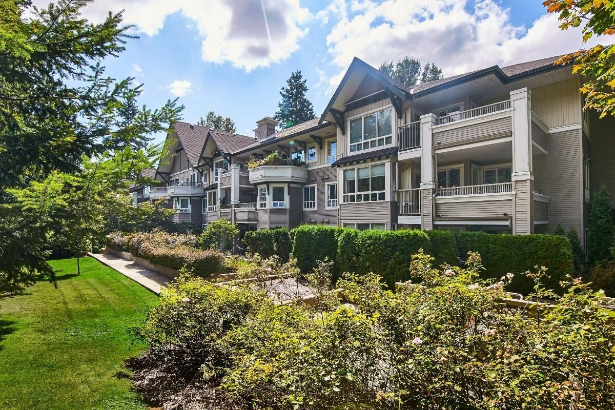 Main Photo: 105 7383 GRIFFITHS Drive in Burnaby: Highgate Condo for sale in "EIGHTEEN TREES" (Burnaby South)  : MLS®# R2764538