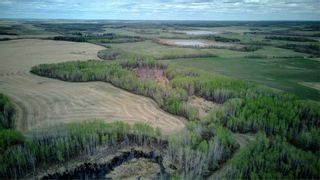 Photo 20: SE-4-59-6-W5 590 Township: Rural Lac Ste. Anne County Agriculture for sale : MLS®# A2103985