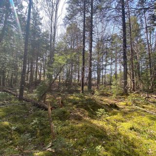 Photo 4: Lot 9 Old Trunk Highway 3 in Hebbs Cross: 405-Lunenburg County Vacant Land for sale (South Shore)  : MLS®# 202300314