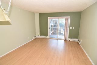 Photo 9: 319 165 Manora Place NE in Calgary: Marlborough Park Apartment for sale : MLS®# A1246551