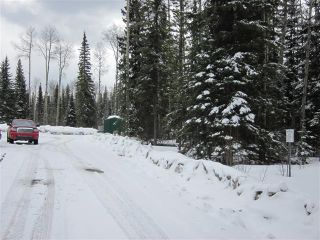Photo 43: 8235 Glenwood Drive Drive in Edson: Glenwood Country Residential for sale : MLS®# 30297