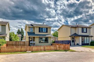 Photo 46: 63 ERIN WOODS Place SE in Calgary: Erin Woods Detached for sale : MLS®# A2141748