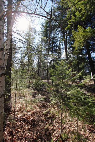 Photo 12: Lot B Zinck Road in Scotch Creek: Land Only for sale : MLS®# 10249220