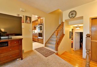 Photo 24: 63 Mchugh Road NE in Calgary: Mayland Heights Detached for sale : MLS®# A2076076