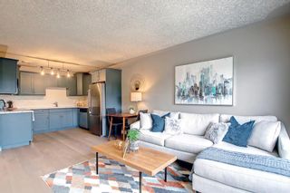 Photo 12: 10 1813 25 Avenue SW in Calgary: Bankview Apartment for sale : MLS®# A1230527