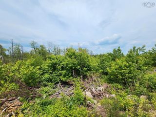 Photo 3: Virginia Road in West Springhill: Annapolis County Vacant Land for sale (Annapolis Valley)  : MLS®# 202400076