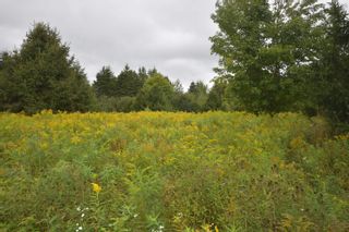 Photo 17: Lot 5 No 12 Highway in Murphy Lake: Kings County Vacant Land for sale (Annapolis Valley)  : MLS®# 202401271