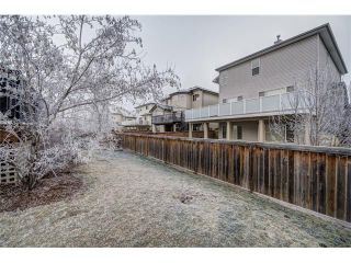 Photo 48: 137 COVE Court: Chestermere House for sale : MLS®# C4090938