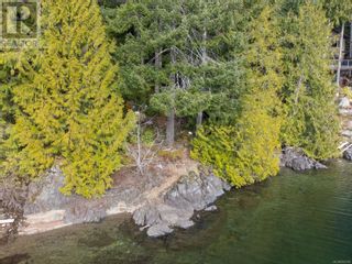 Photo 5: 19320 Pacific Rim Hwy in Port Alberni: Vacant Land for sale : MLS®# 955729