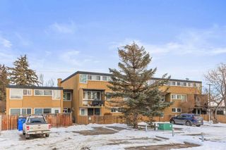 Photo 31: 103 607 69 Avenue SW in Calgary: Kingsland Apartment for sale : MLS®# A2125527
