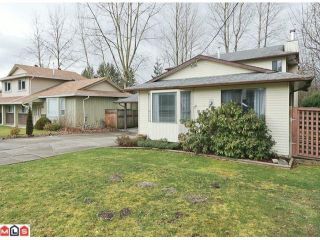 Photo 2: 3259 268TH ST in Langley: Aldergrove Langley House for sale in "Parkside" : MLS®# F1105855