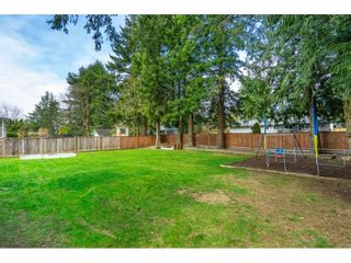 Photo 36: 34119 LARCH Street in Abbotsford: Central Abbotsford House for sale : MLS®# R2547045