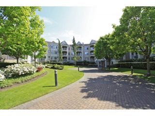 Photo 1: 106-20894 57th Ave in Langley: Condo for sale : MLS®# R2136164
