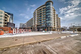 Main Photo: 320 38 9 Street NE in Calgary: Bridgeland/Riverside Apartment for sale : MLS®# A2128134