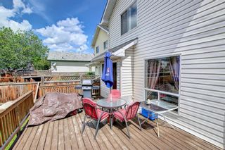 Photo 23: 45 Country Hills Drive NW in Calgary: Country Hills Detached for sale : MLS®# A1232960