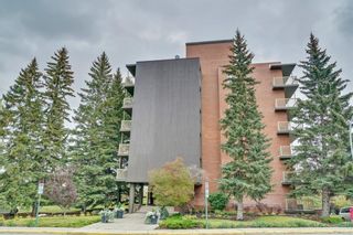 Photo 27: 503 3316 RIDEAU Place SW in Calgary: Rideau Park Apartment for sale : MLS®# C4236260