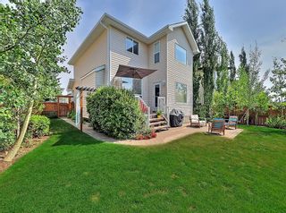 Photo 40: 250 Royal Birch Way NW in Calgary: Royal Oak Detached for sale : MLS®# A1254634