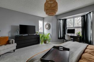 Photo 26: 608 21 Avenue NW in Calgary: Mount Pleasant Detached for sale : MLS®# A2122013