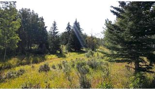 Photo 10: 23 Grove Lane in Rural Rocky View County: Rural Rocky View MD Residential Land for sale : MLS®# A2131088