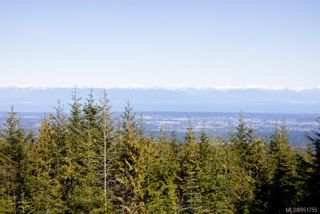 Photo 25: 8100 Forbidden Plateau Rd in Courtenay: CV Courtenay West Other for sale (Comox Valley)  : MLS®# 951755