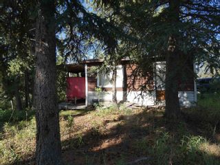 Photo 51: DL 1135 SPRUCE CREEK: Atlin House for sale (Iskut to Atlin)  : MLS®# R2813376