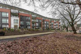 Photo 20: 326 22 E ROYAL Avenue in New Westminster: Fraserview NW Condo for sale in "THE LOOKOUT" : MLS®# R2139153