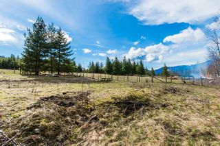 Photo 41: 4902 Parker Road in Eagle Bay: Vacant Land for sale : MLS®# 10132680