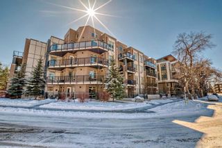 Photo 31: 108 823 5 Avenue NW in Calgary: Sunnyside Apartment for sale : MLS®# A2119679