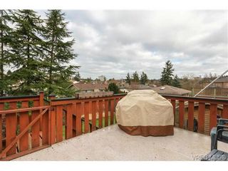 Photo 20: 618 Baker St in VICTORIA: SW Glanford House for sale (Saanich West)  : MLS®# 694996
