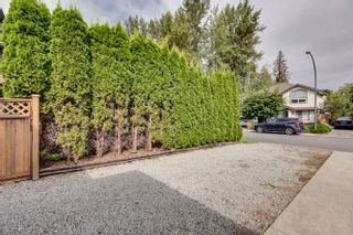 Photo 51: 23890 118A Avenue in Maple Ridge: Cottonwood MR House for sale : MLS®# R2303830